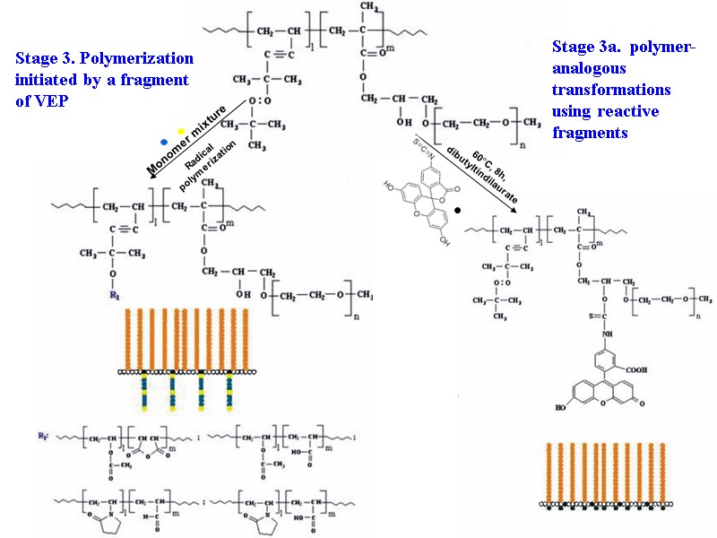 37 Stage 3a.  polymer-analogous transformations using reactive fragments Stage 3. Polymerization initiated by